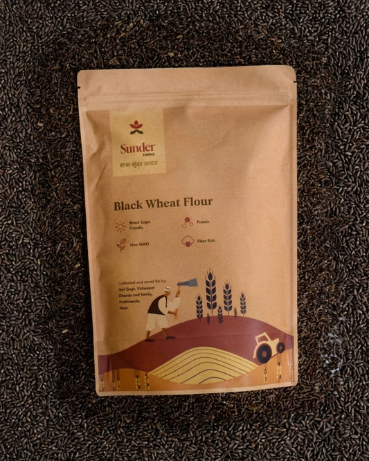 Black Wheat Whole Grains (Kala Gehun)